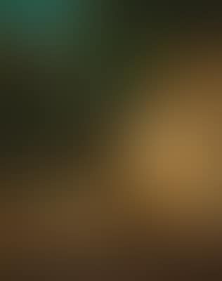 A forest gorge (preview)