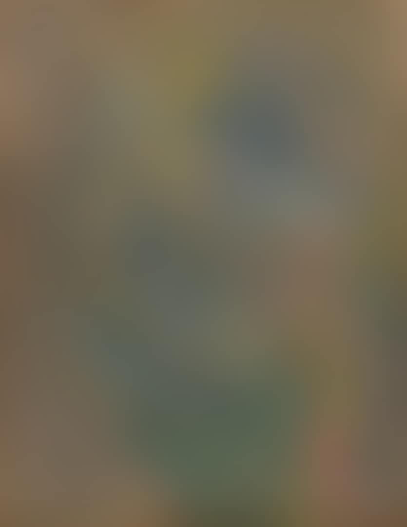 LA CHEVELURE (preview)