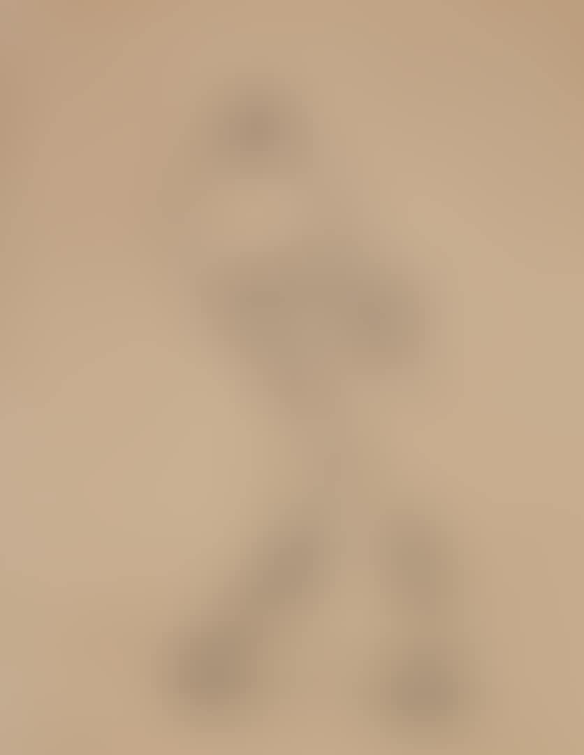SOLITUDE (preview)