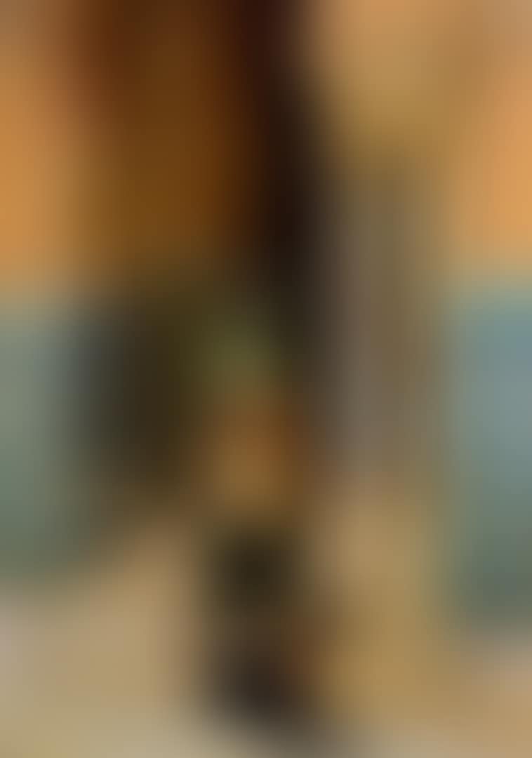 THE NUBIAN GUARD (preview)