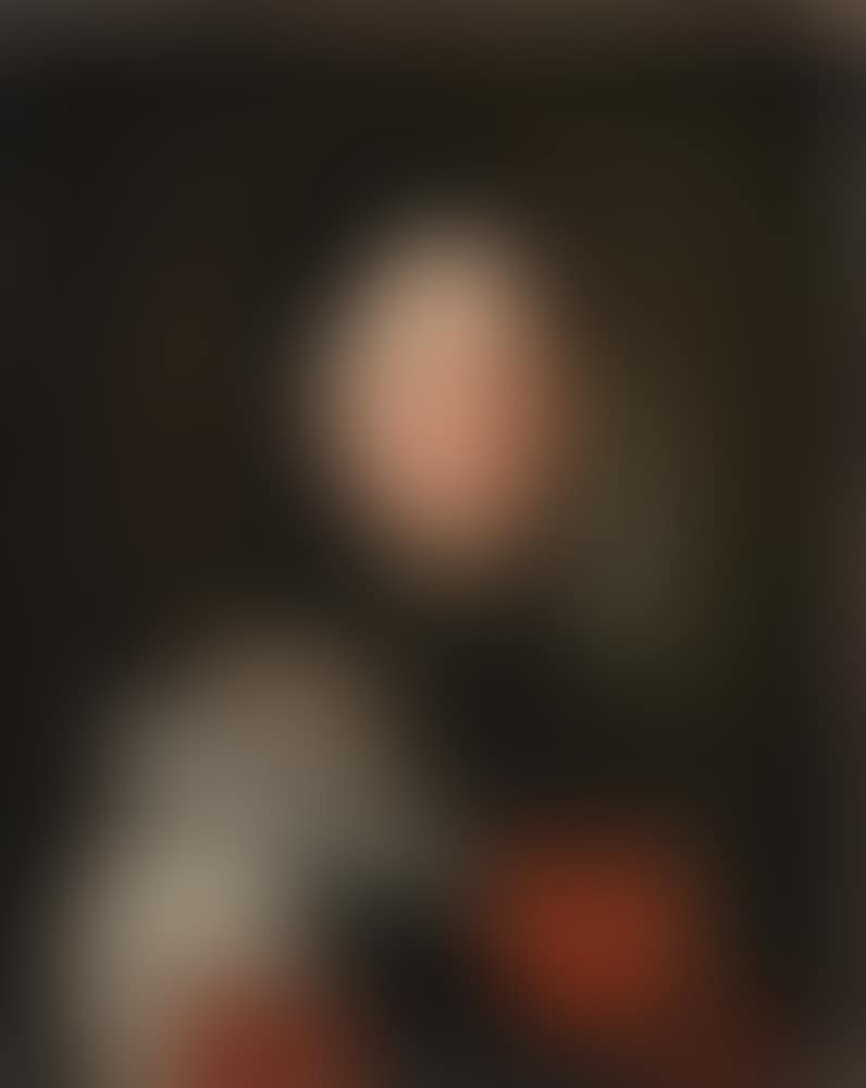 Portrait of a lady, traditionally said to be of the Hönigswald family, bust-length, in black and white lace costume with red bows (preview)