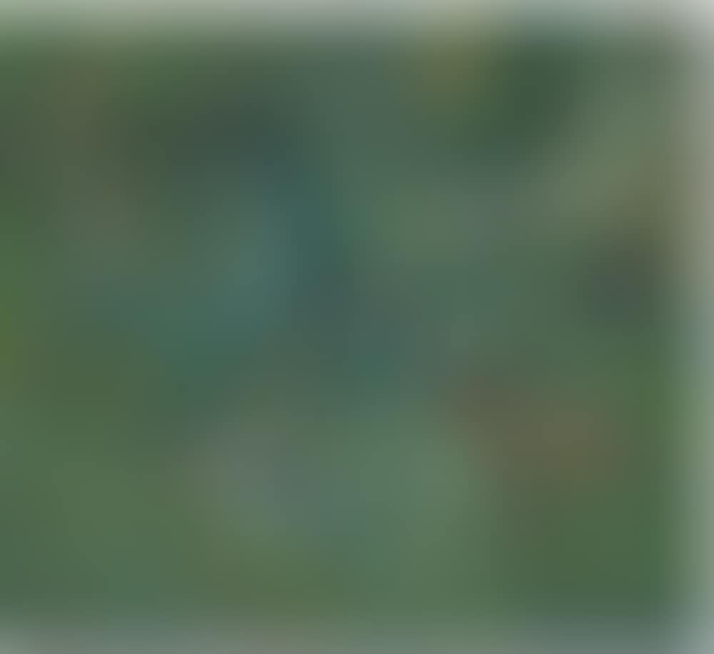 Le Tilleul (The Lime Tree) (preview)