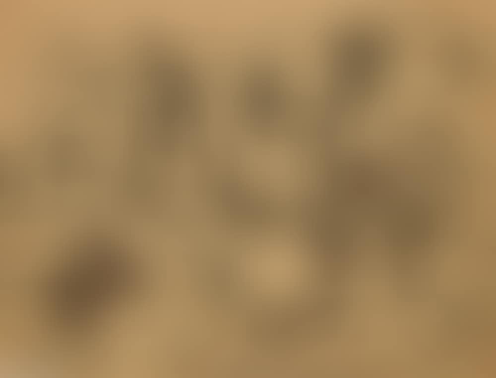 Ancient Dance (preview)