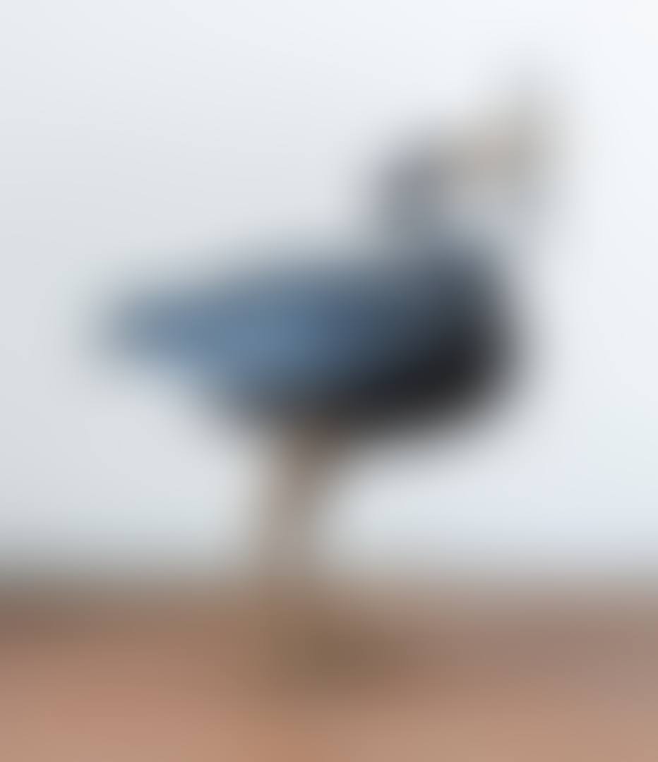 L'OISEAU DE PAULINE (preview)