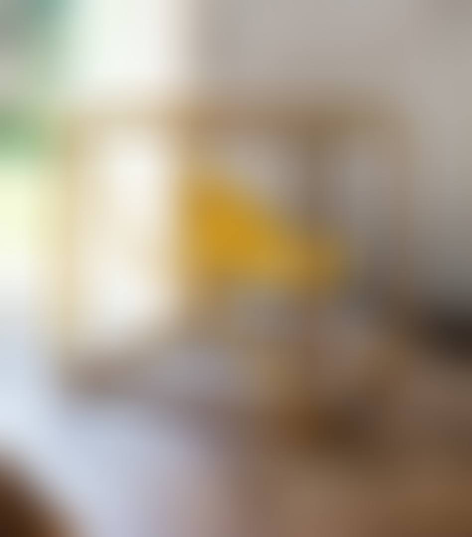 PERROQUET FACÉTIEUX (preview)