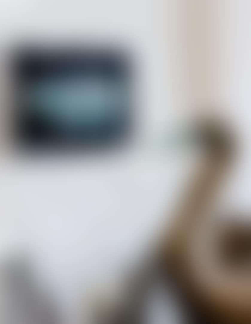 HIPPOPOTAME AUX PAYSAGES (preview)