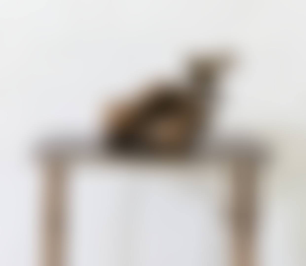 MAIN DE ROMAN (preview)