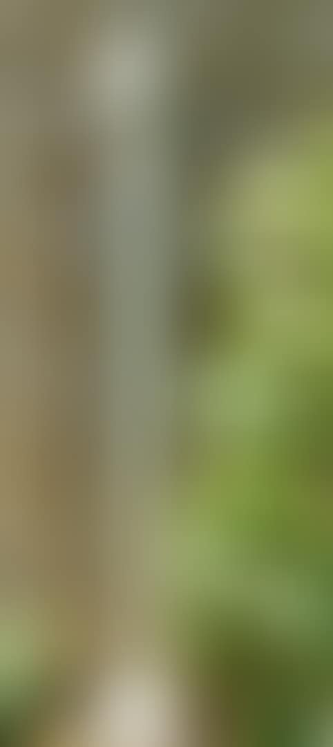 HIBOU DE MERYLL (preview)