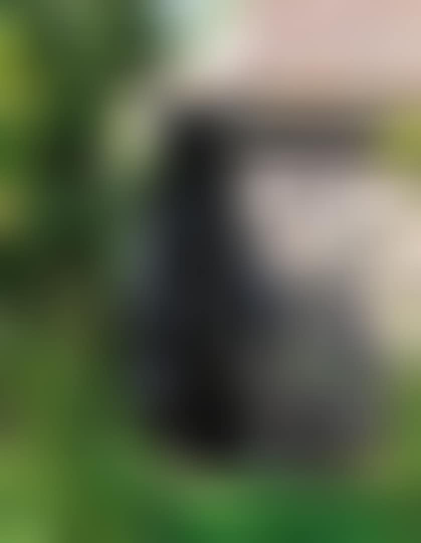 OURS (preview)