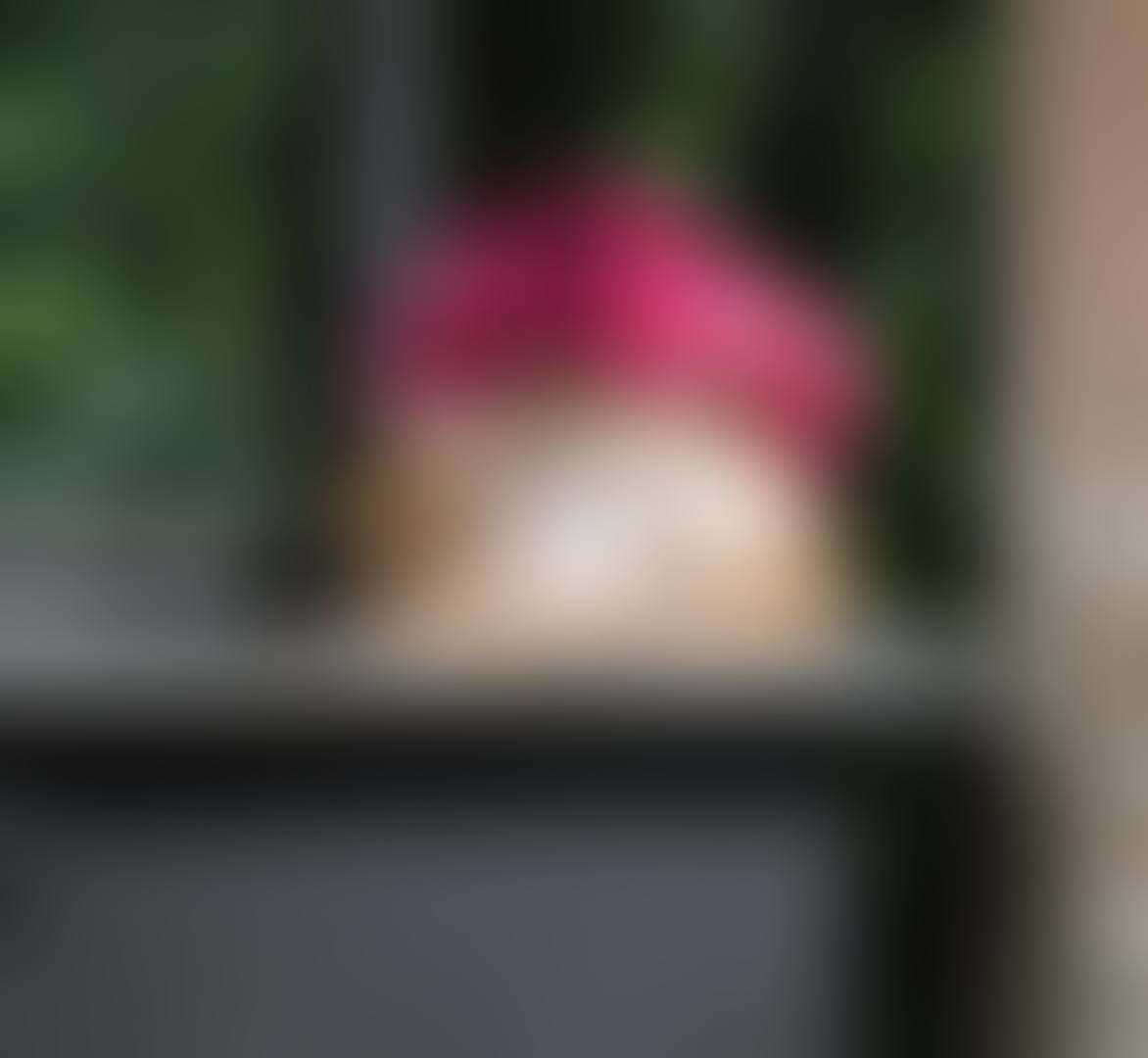 LAPIN COUCHÉ (preview)