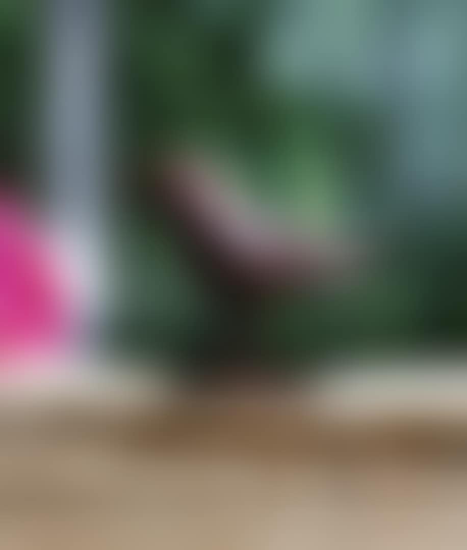 BÉCASSEAU (preview)