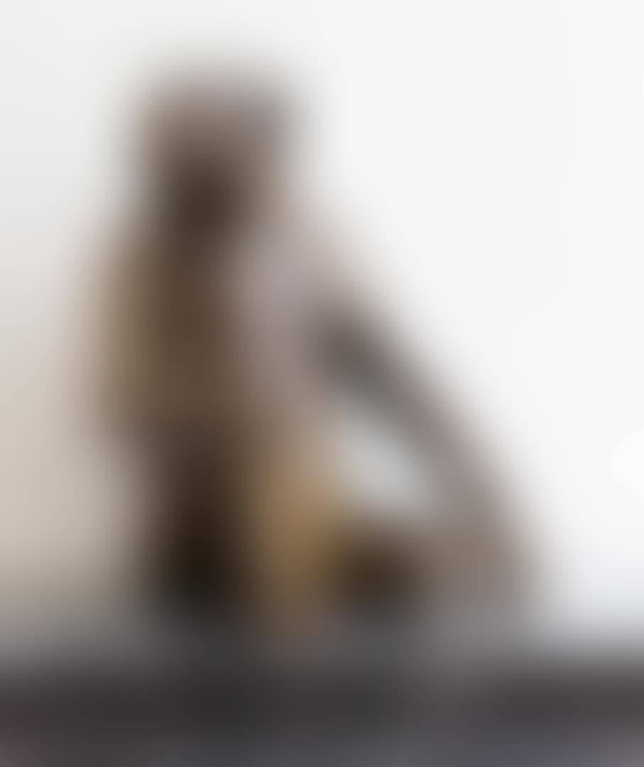 SINGE AVISÉ MOYEN (REGARDANT VERS SA DROITE) (preview)