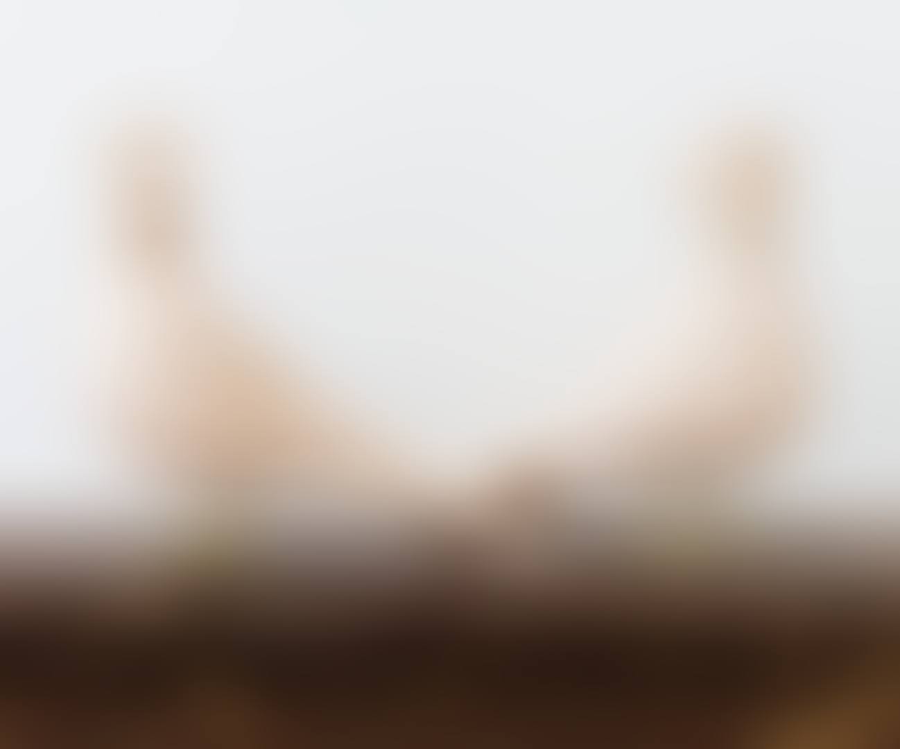 PAIR OF GRANDES COLOMBES DE ZAYNEB (preview)