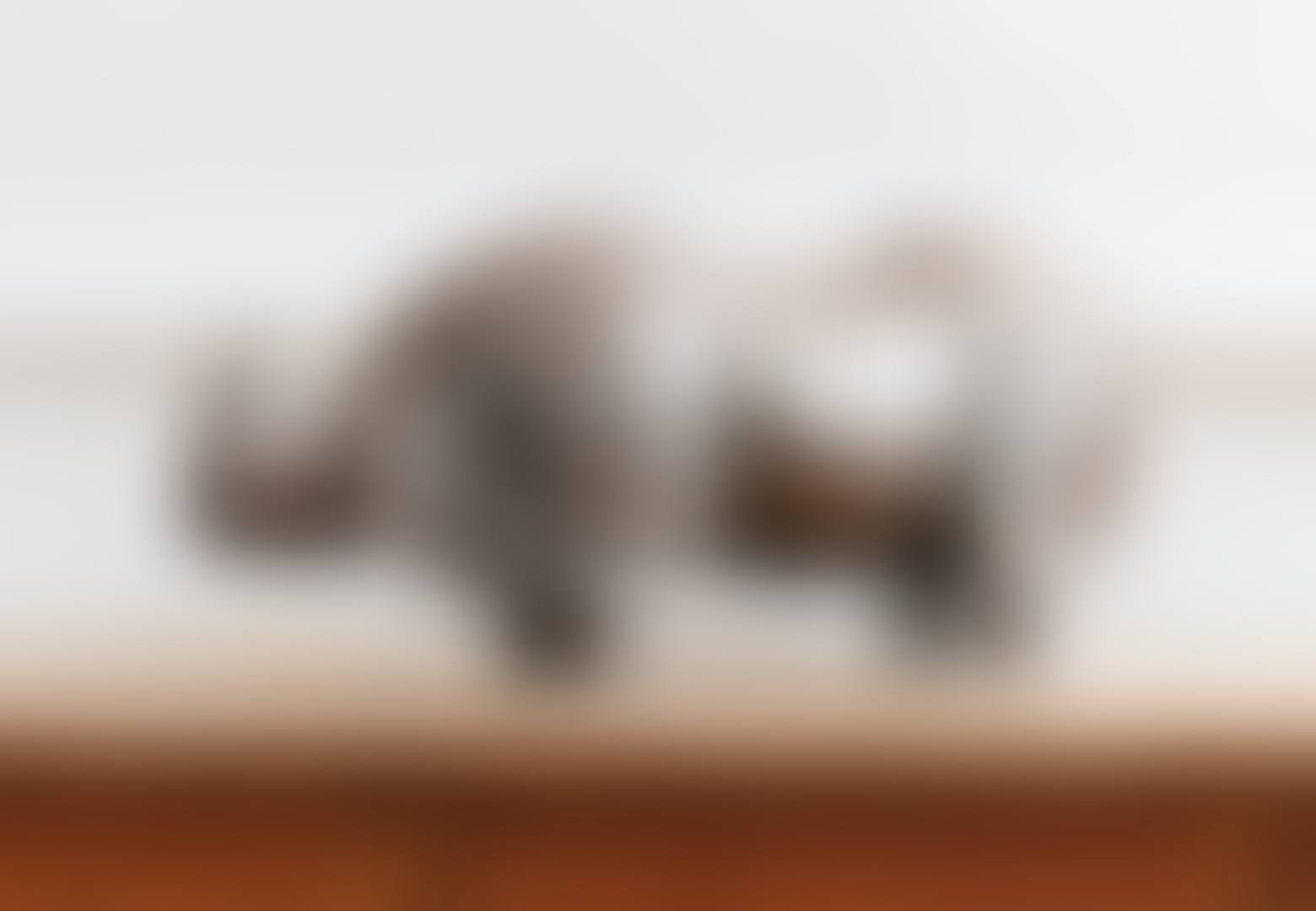 RHINOCÉROS (preview)