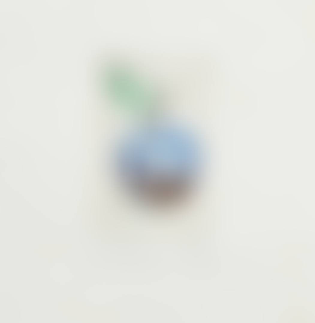 POMME PAYSAGE (preview)
