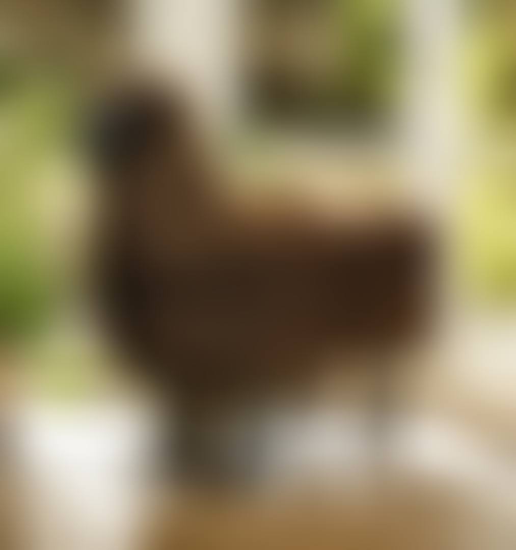 MOUTON NOIR (preview)