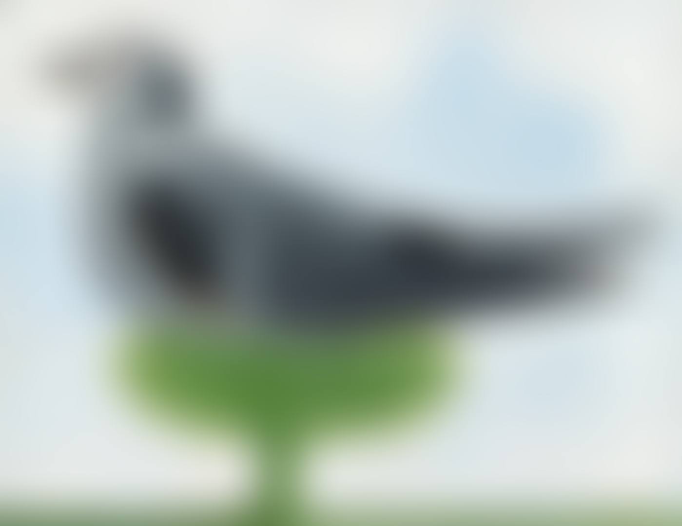 PIGEON (preview)