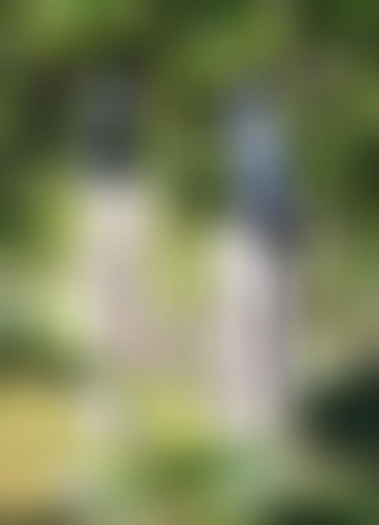 SINGE SI AND SINGE SII (preview)