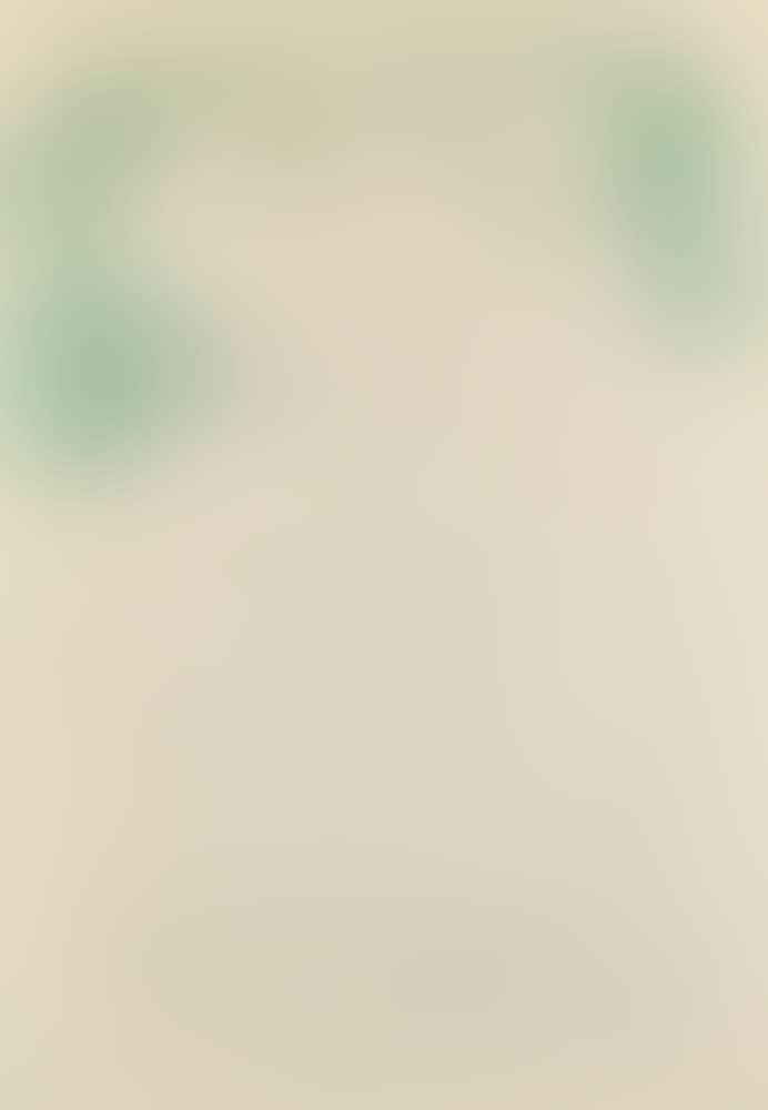 Maternité (preview)
