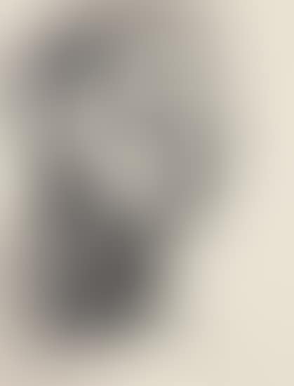 Portrait de femme II (Portrait of a Woman II) (Jacqueline Roque) (preview)