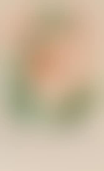Begonia (Anacardium recordans), from Flordali® (Flora Dalinae) (preview)