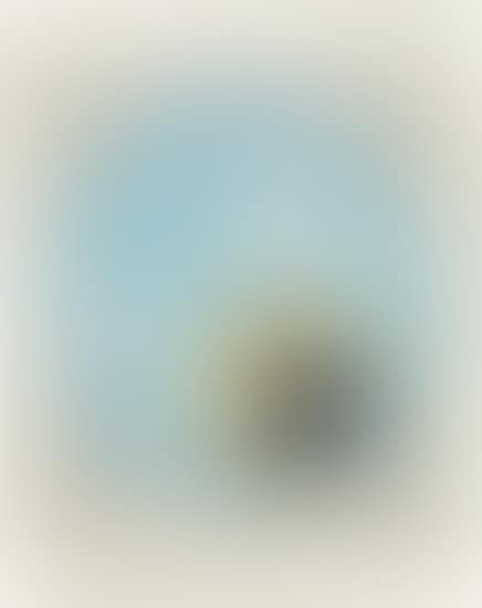 Le Soleil recerclé (Around the Sun): plate 18 (preview)
