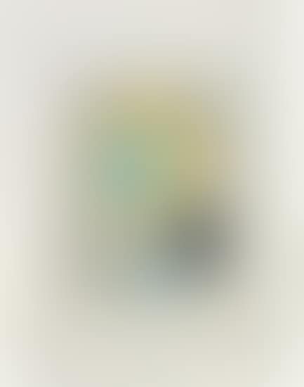 Le Soleil recerclé (Around the Sun): plate 13 (preview)