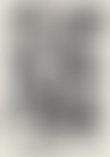 Untitled (P 29) (preview)