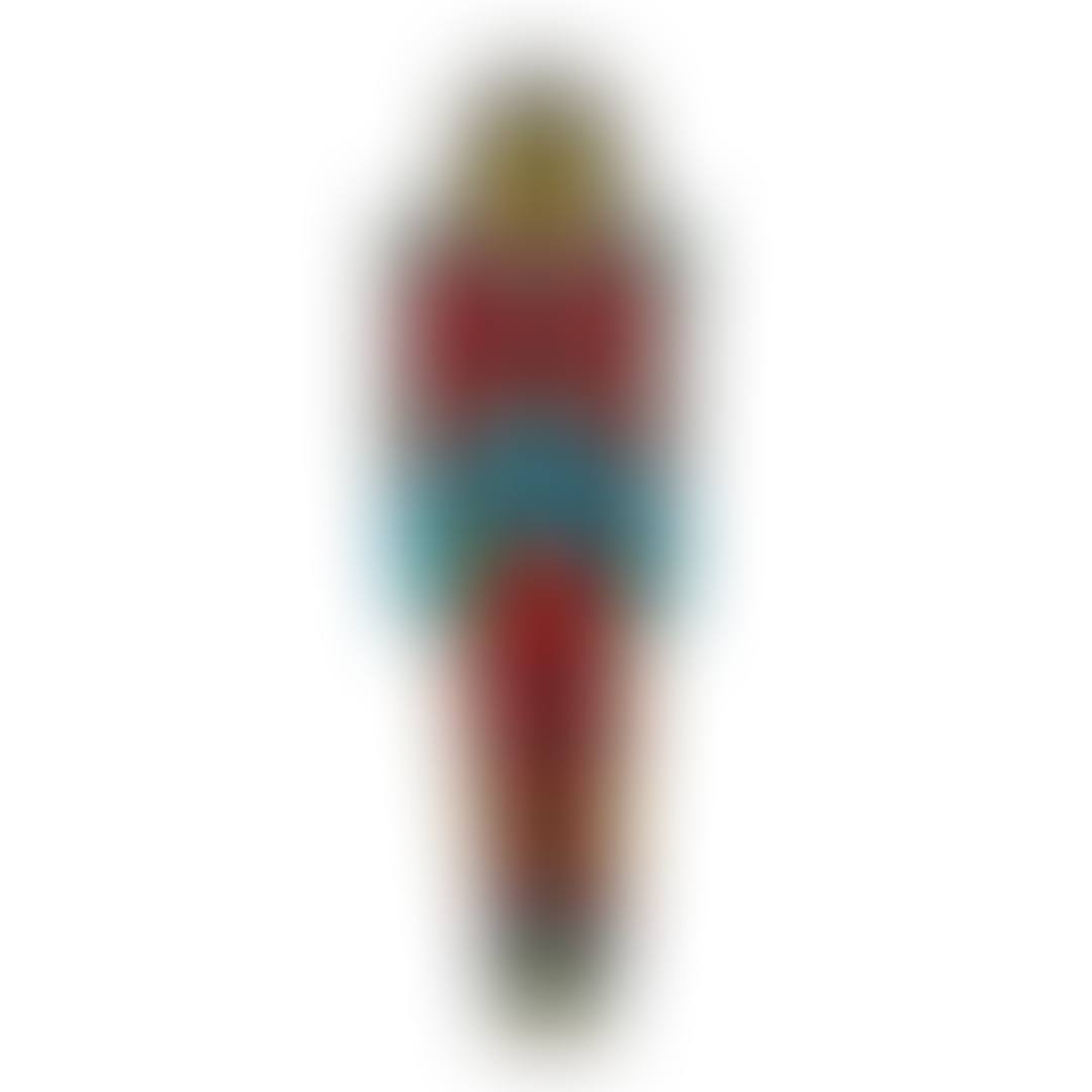 TOTEM (preview)