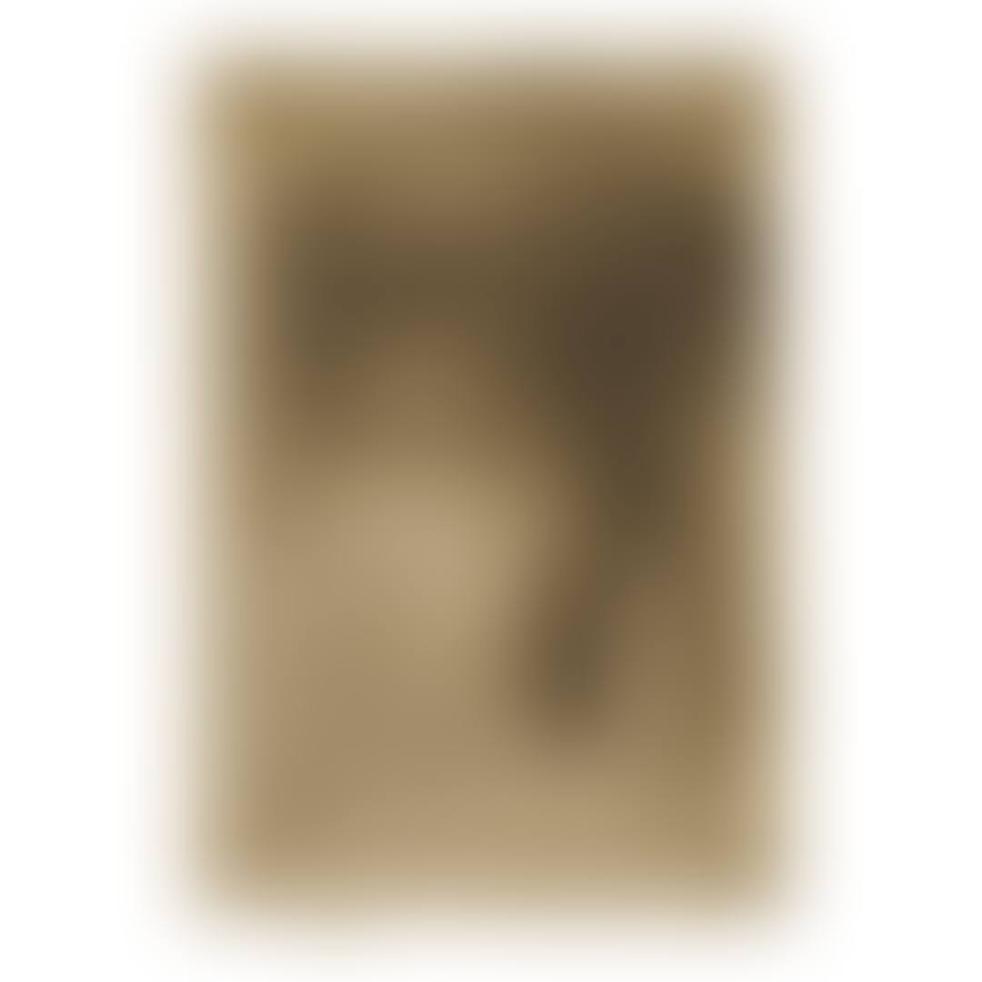 THE BEGGARS (K. 194; G. 190) (preview)