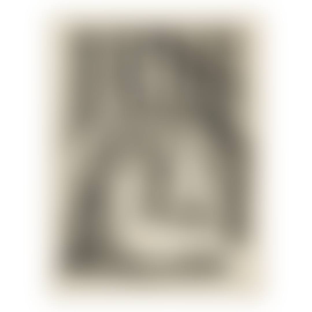 NU ASSIS À LA CHEMISE DE TULLE (D. 465) (preview)