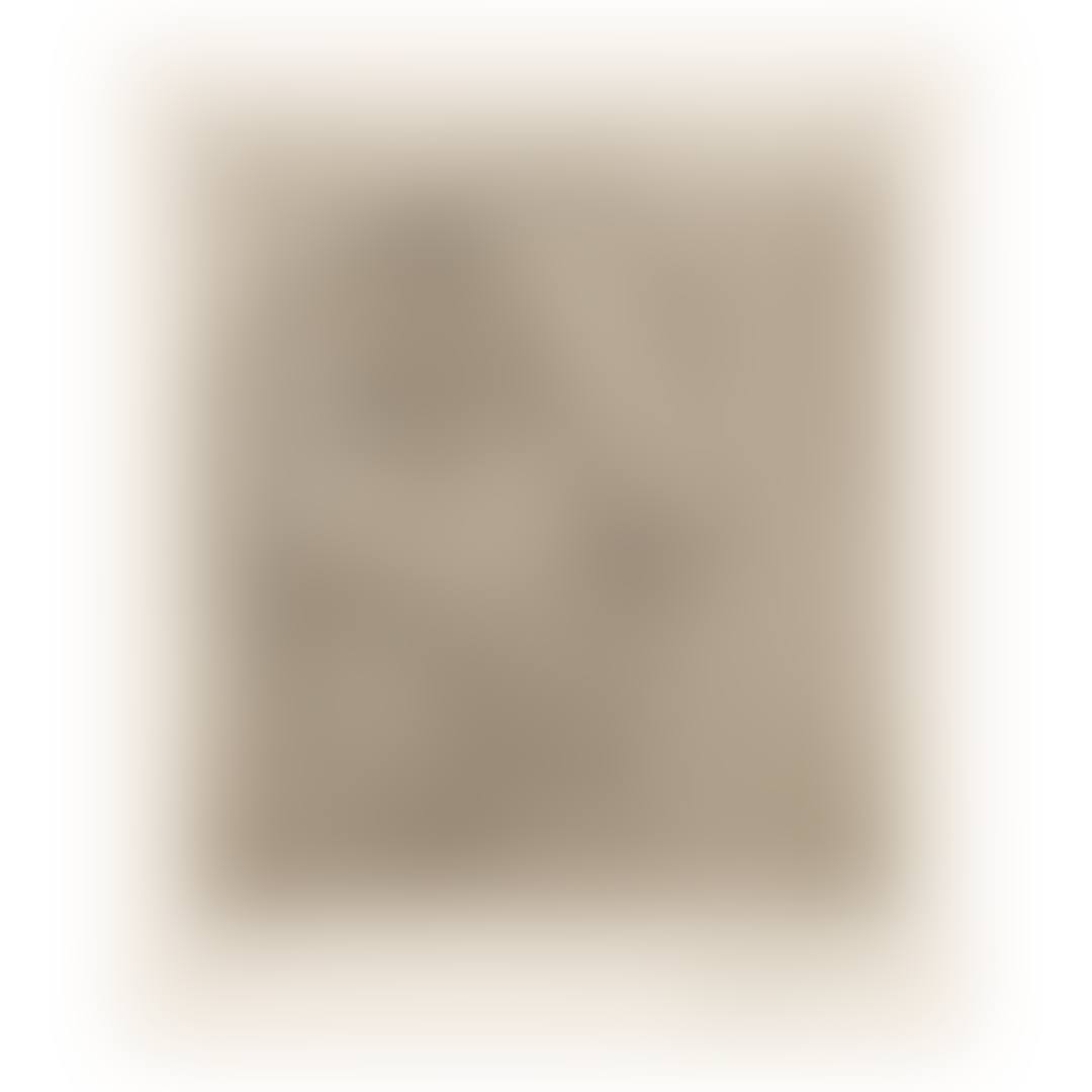 SCULPTURE. PROFIL DE MARIE-THÉRÈSE (B. 256; BA. 295) (preview)
