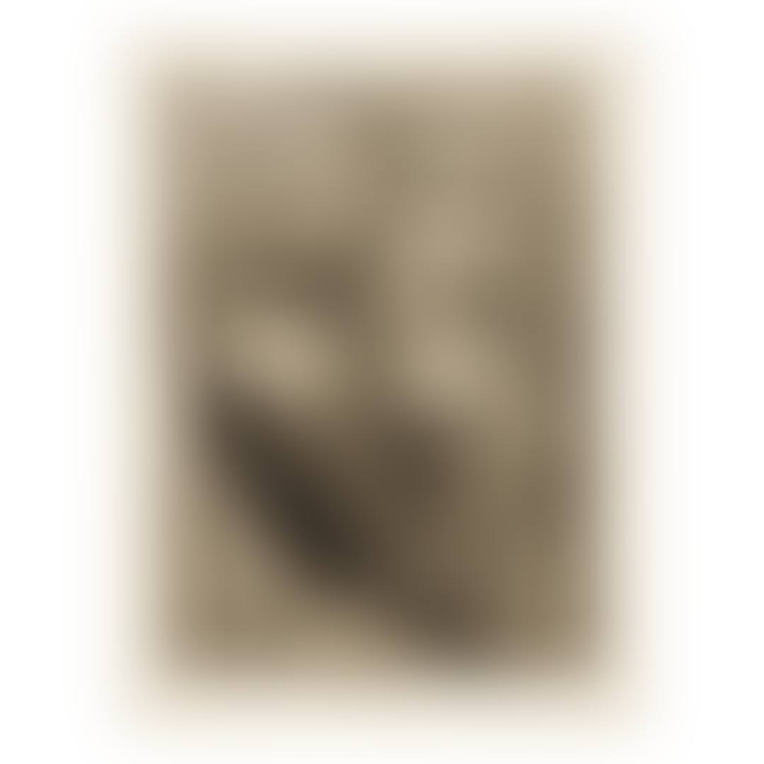 SCULPTURE. TÊTE DE MARIE-THÉRÈSE (B. 250; BA. 288) (preview)