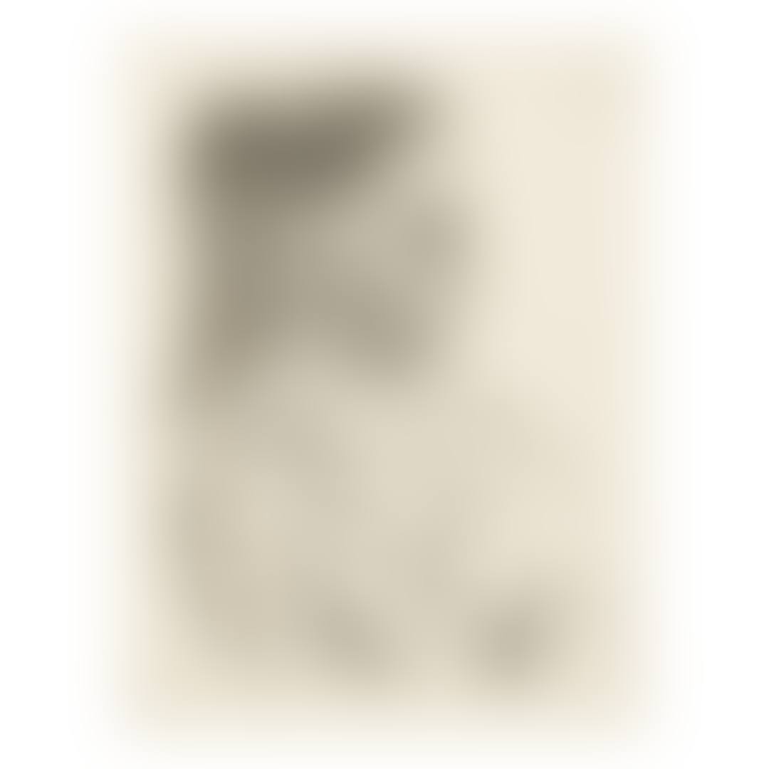 BUSTE AU CORSAGE À CARREAUX (B. 849; M. 308) (preview)