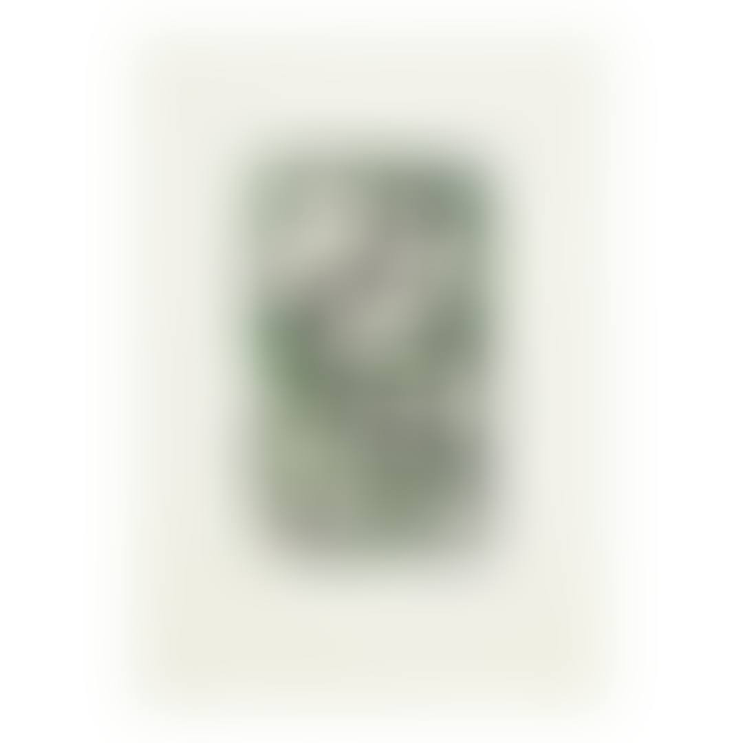 SUZHOU I (preview)