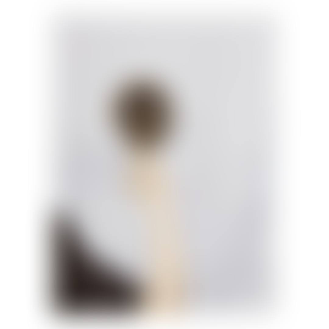 MIRROR (preview)