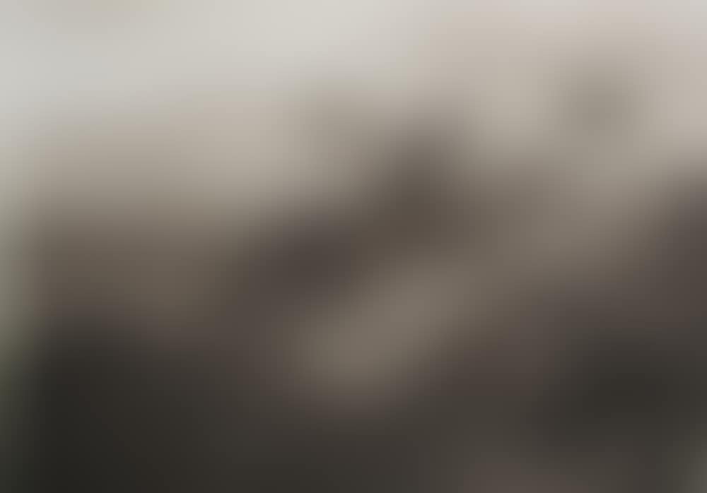 Grouse in Flight (preview)