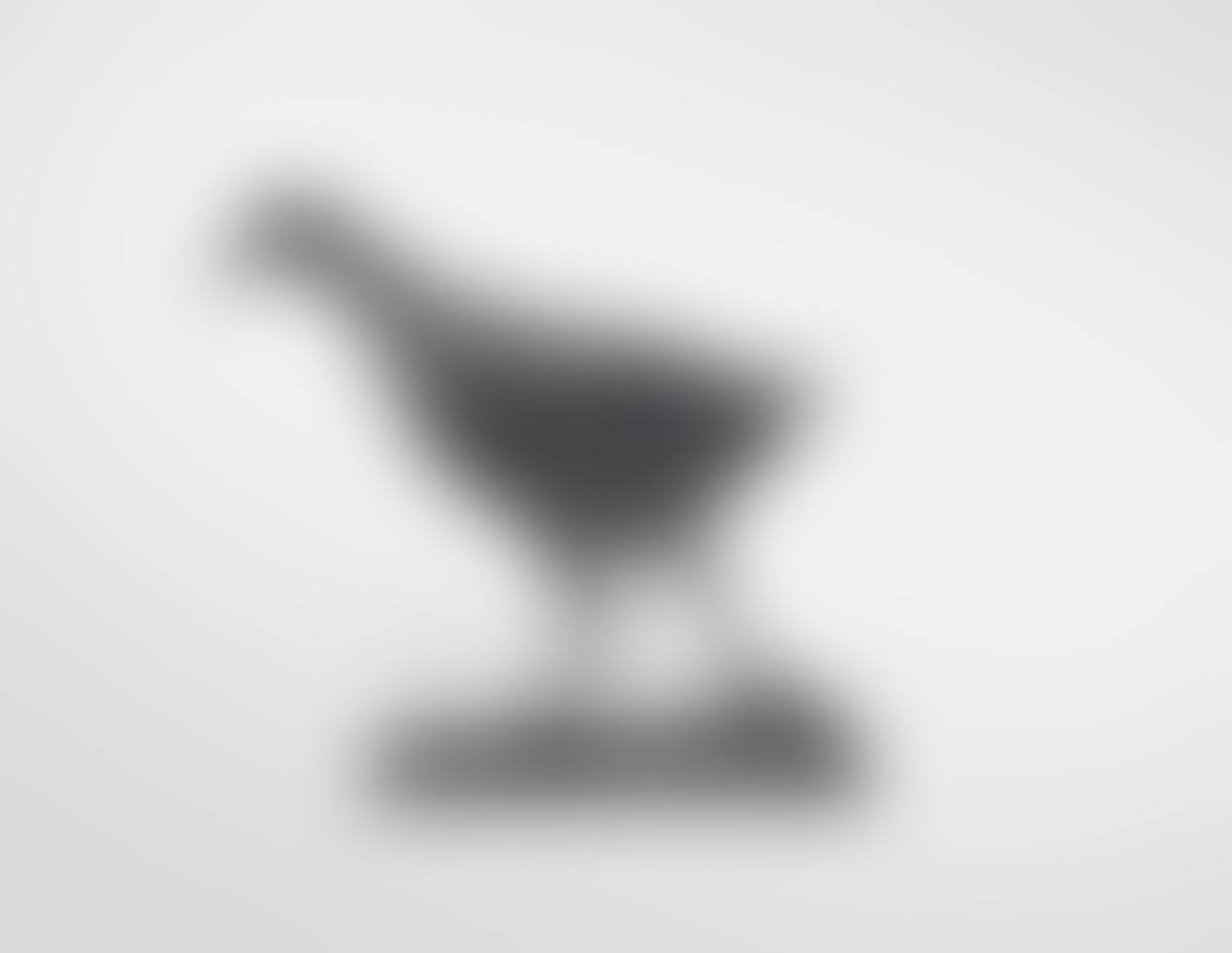 Poule d'eau (preview)