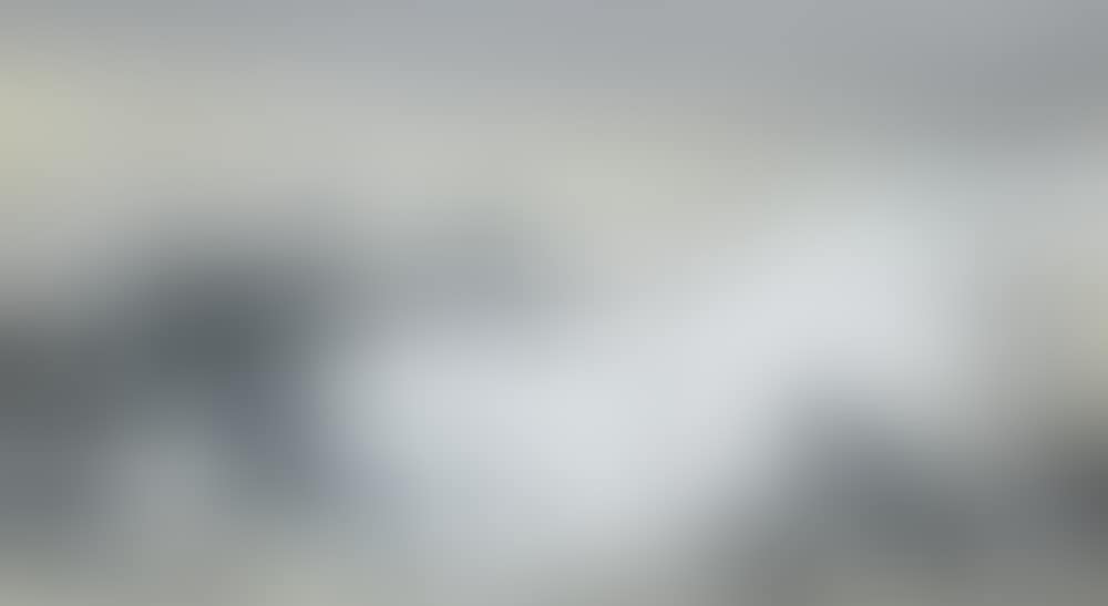 Patridges (preview)