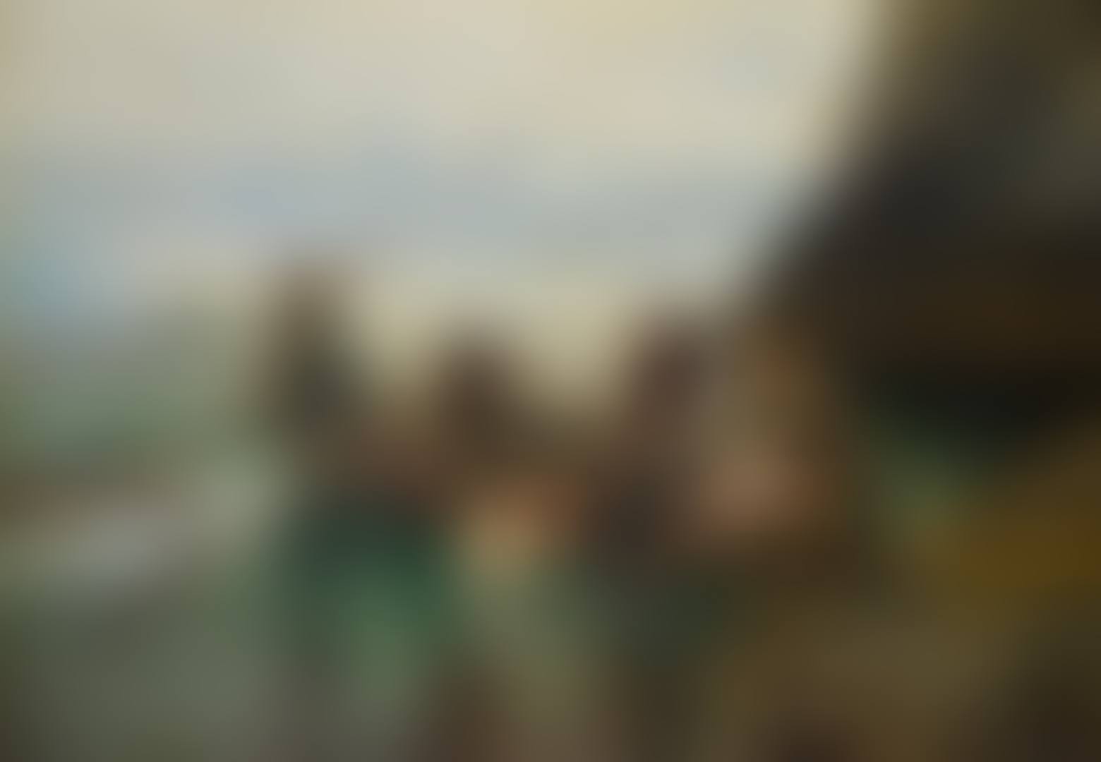 THE SEAL-DIVER, CO. MAYO (preview)