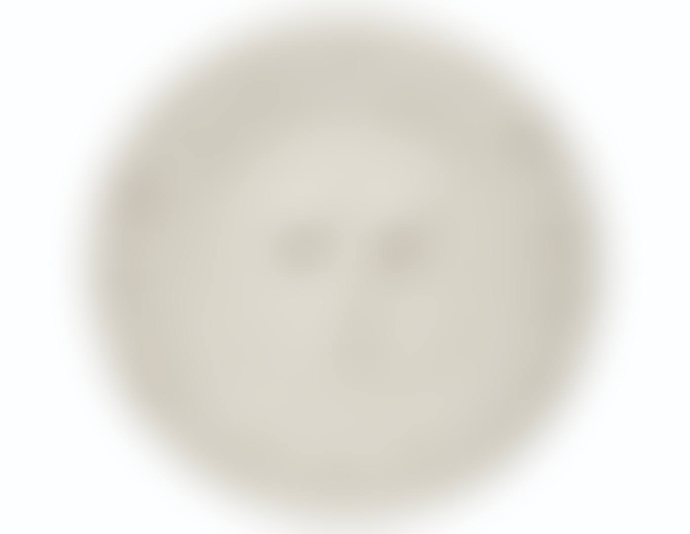 Visage à la grille (A.R. 351) (preview)