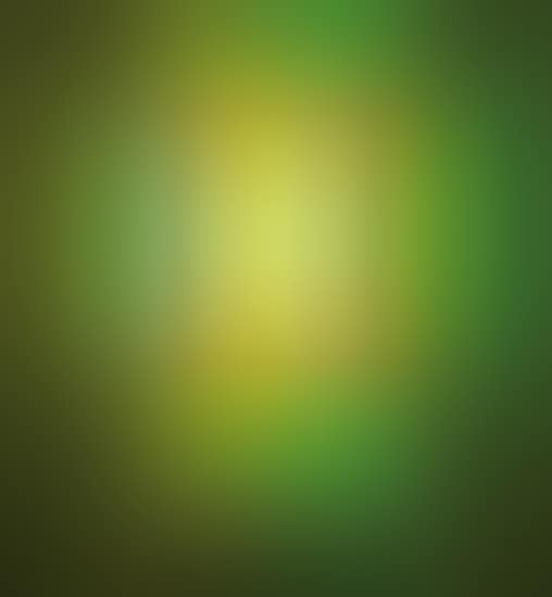 untitled (to Bob and Pat Rohm) (preview)