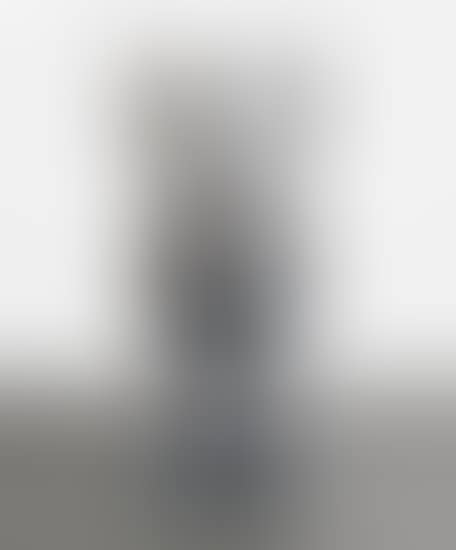 FOUR FOOT COMPANION (GREY) (preview)