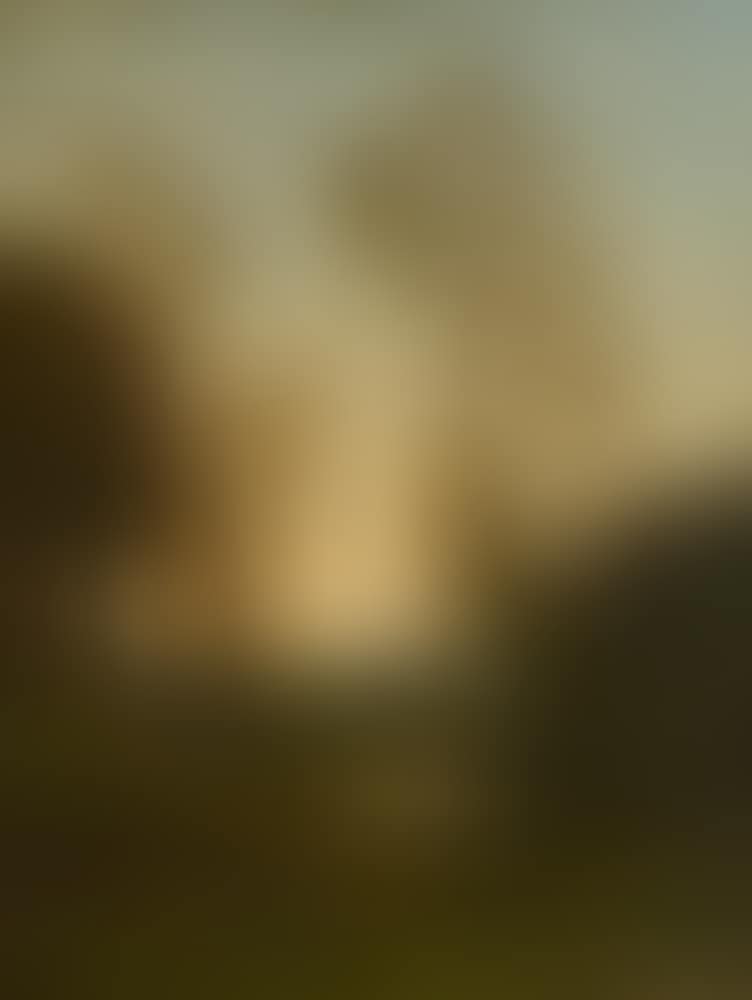 A wooded landscape (preview)