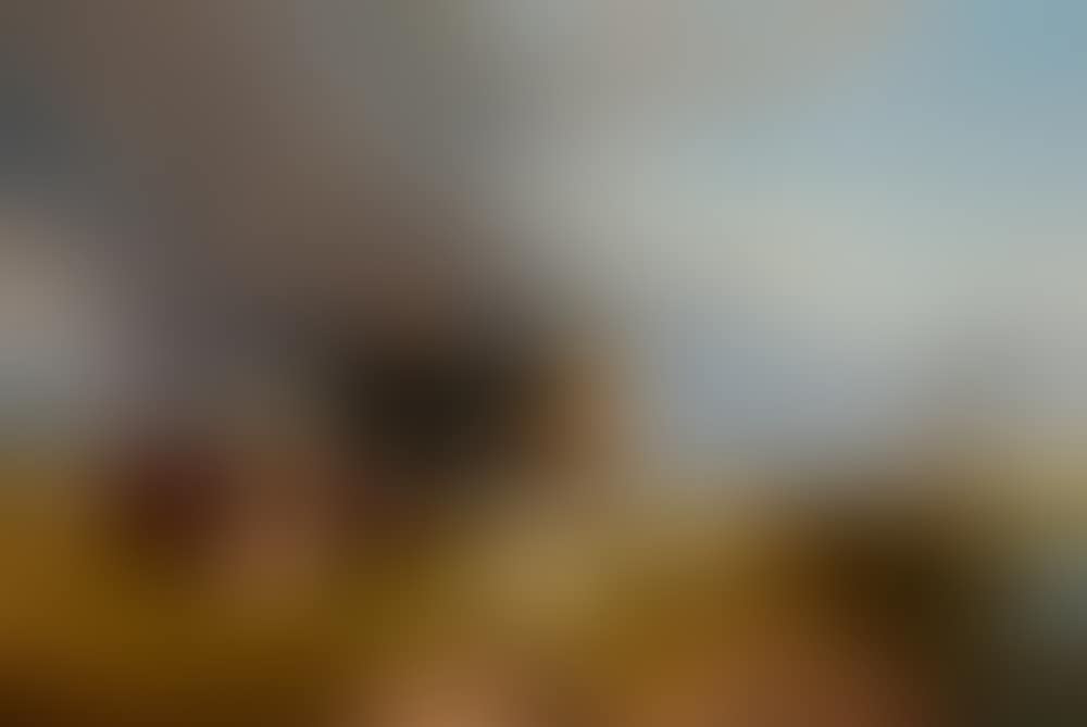 Canterbury Meadows (preview)