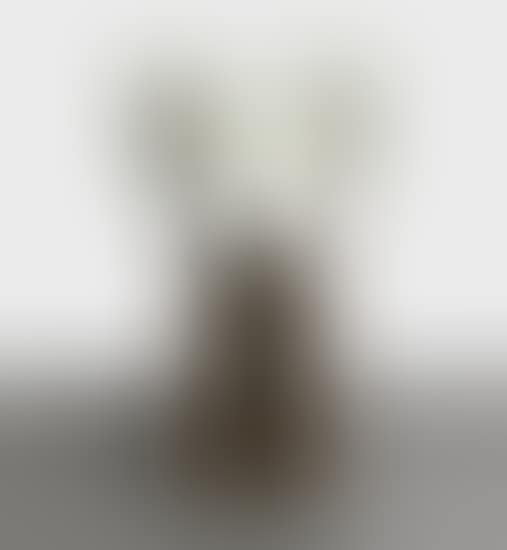 Companion (Passing Through) (preview)