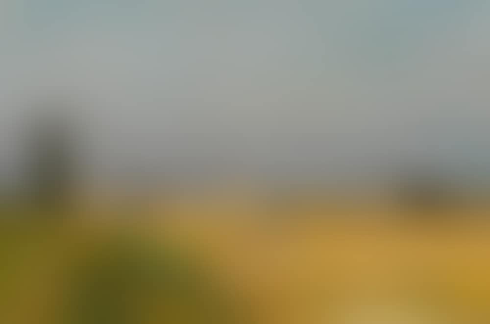 La moisson aux environs de Caen (preview)
