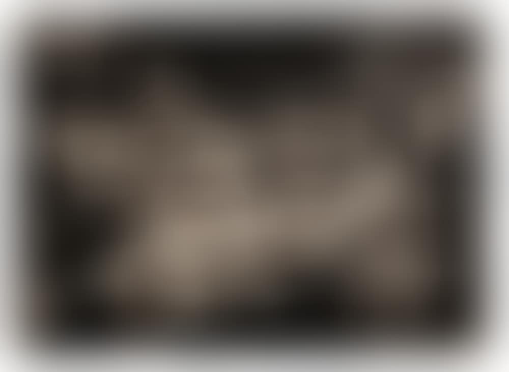Untitled (preview)