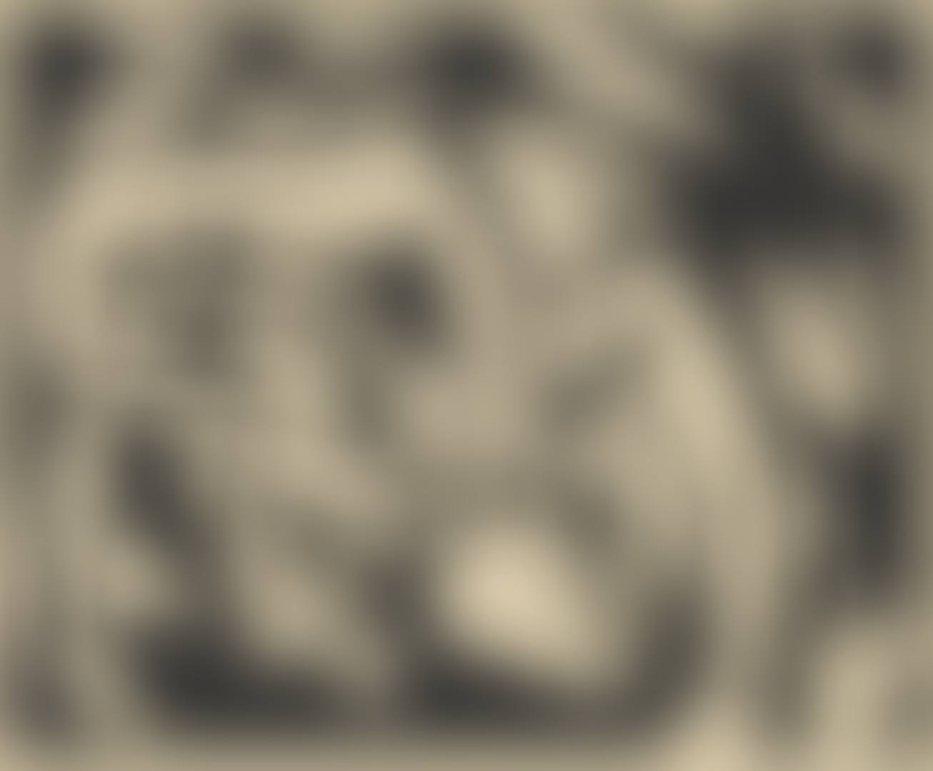 The Wrestlers (preview)