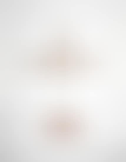 Courtesy Professionalism Respect (white) (preview)